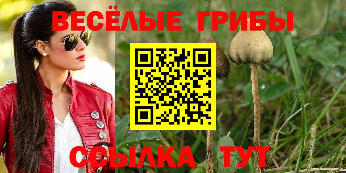 Северобайкальск  Галлюциногенные грибы GOLDEN TEACHER  Вход с VPN 